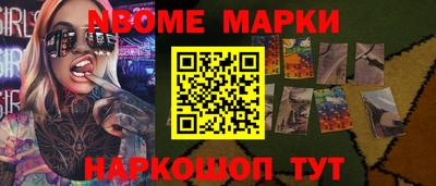 гашик Будённовск