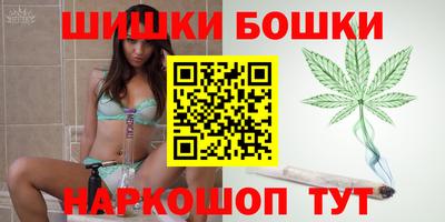 гашик Будённовск