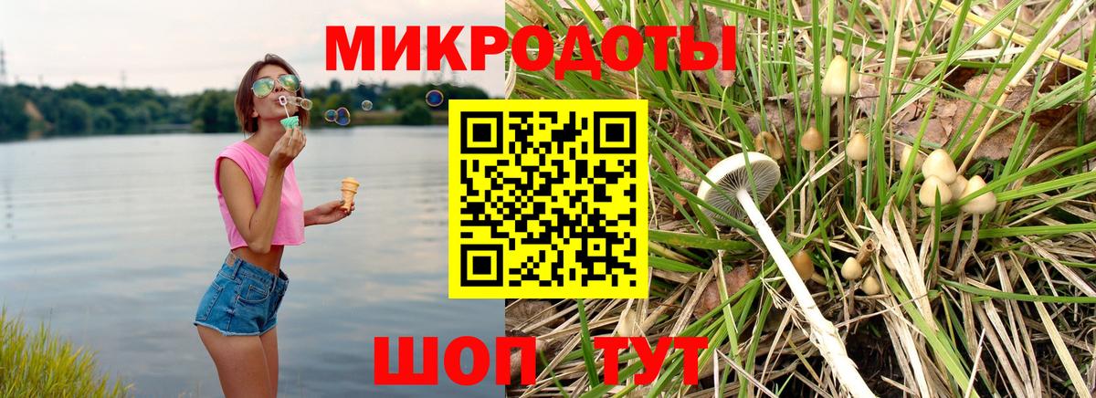 Псилоцибиновые грибы MAGIC MUSHROOMS  Галлюциногенные грибы Psilocybine cubensis  Вход с VPN  Соль-Илецк 